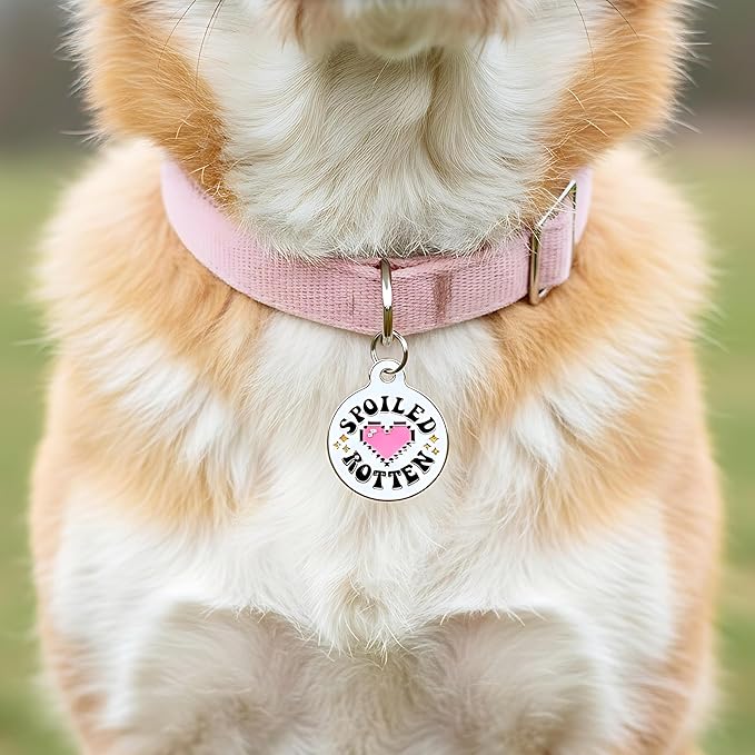 Bad Tags Personalized Dog and Cat ID Tags in 25+ Designs and 2 Sizes - 5 Lines of Custom Engraved Text - Funny Cute Personalized Pet Tags (Spoiled Rotten, Small (1 inch))