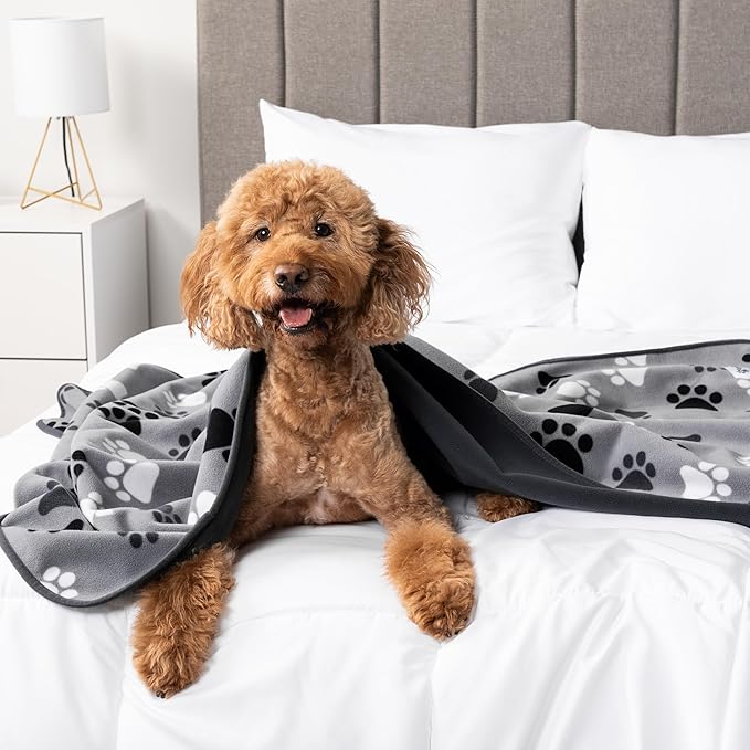 PetAmi Waterproof Dog Blanket for Medium Large Pets Dogs Cats, Pet Couch Cover Protector for Furniture, Reversible Washable Soft Fleece Cat Blanket for Bed Couch Sofa, 40x60 (Taupe/Beige)