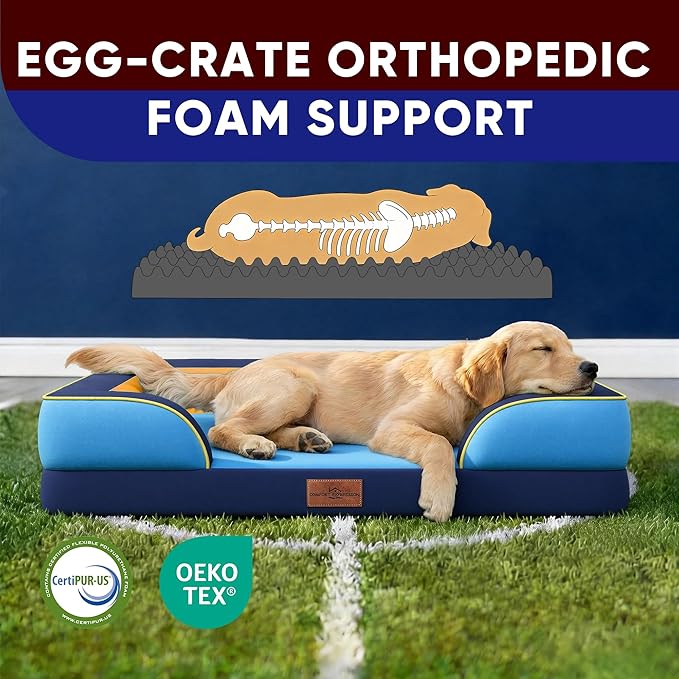 Comfort Expression Orthopedic Dog Bed for Extra Large Dogs 42x30 Inch, Waterproof Egg Crate Foam XL Pet Bed with Removable Bolsters, Dog Couch with Washable Cover & Non-Slip Bottom, Houston