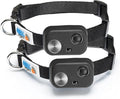 MS-5 ECON Automatic Pet Door Collar 2-Pack, Genuine High Tech Pet Brand Dog Collar for Power Pet Doors - Deluxe Black Strap & Rubber Boot (Black) - BLK-MS5-2PK