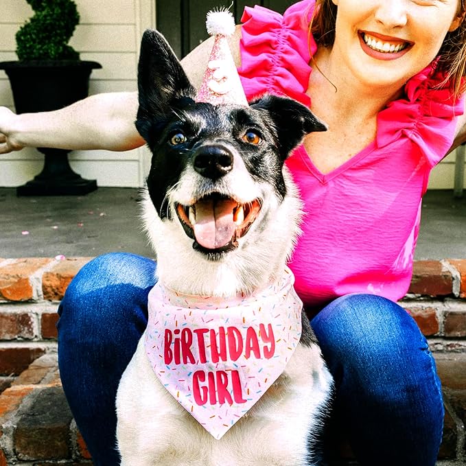 Birthday Girl Dog Bandanas 1 Pack, Pink Donut Theme Dog Scarfs Bibs, Triangle Reversible Pet Scarves for Birthday Girl Handkerchief for Small Medium Large Dogs (Pink, Large)