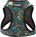 Downtown Pet Supply Step-in Dog Harness – No Pull, Adjustable Padded Mesh with Reflective Trim, Secure Buckle Strap – Comfortable & Breathable Small Dog Harness, Medium, Dinosaur