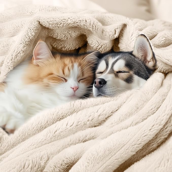 LINENLUX 1 Pack 3 Soft Fleece Dog Blanket for Pet Washable Warm Cat Puppy Fluffy Calming Flannel Beige Medium