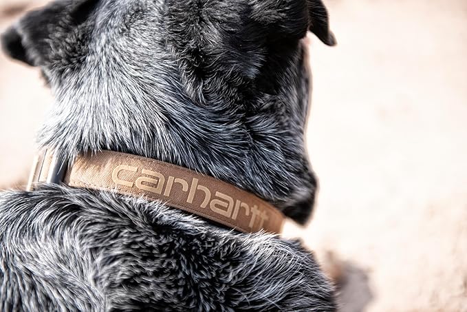 Carhartt Nylon Duck Dog Collar, Fully Adjustable Durable 2-Ply Cordura Nylon Canvas Collars for Dogs, Carhartt Brown, Large