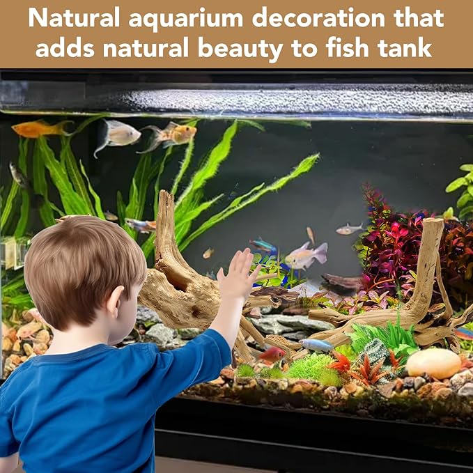 Jorewood Natural Large Spiderwood Driftwood for Aquarium Decor Rptile Fish Tank Decoration Assort Branch 13-16'' Pack of 1