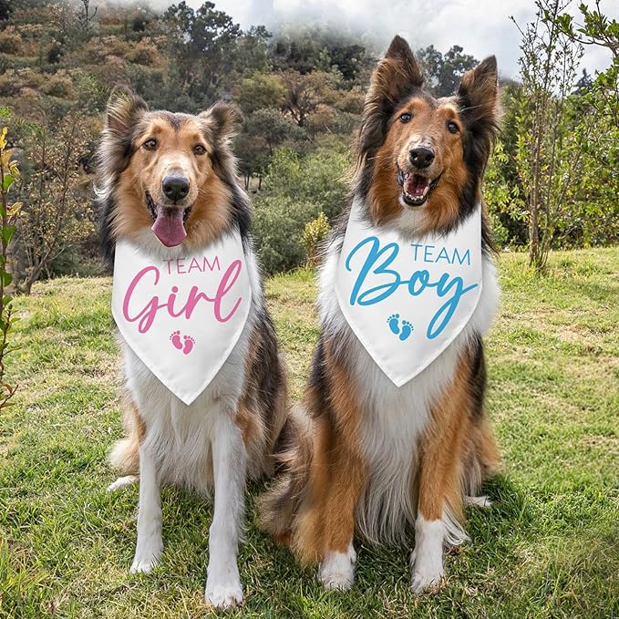 2 Packs Team Girl Team Boy Gender Reveal Baby Announcement Dog Bandana Pet Pregnancy Announcement Pink and Blue Dog Triangle Scarf Accessories for Small Medium Large Dogs Cats
