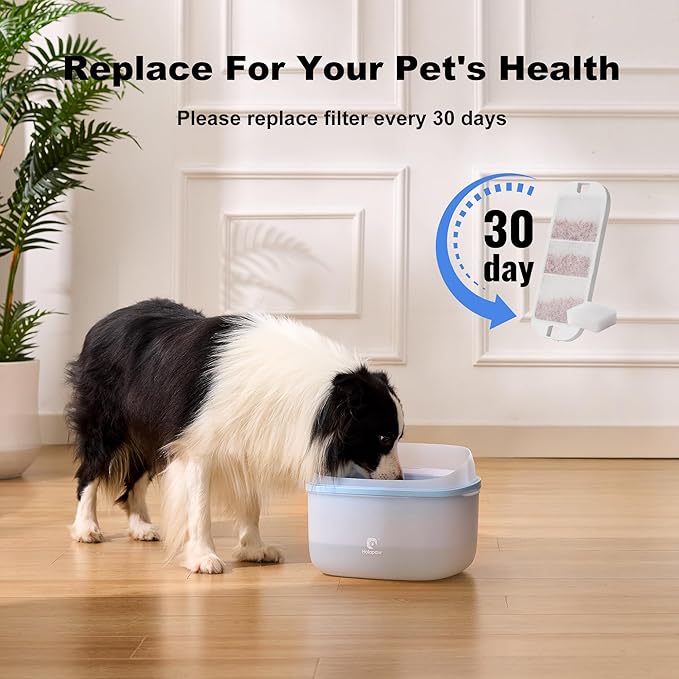 6 Pack Dog Water Fountain Filters, Filter Replacement for HOLAPAW 2.1Gal/8L Dog Water Bowl Dispenser, 6 Filters + 6 Sponges