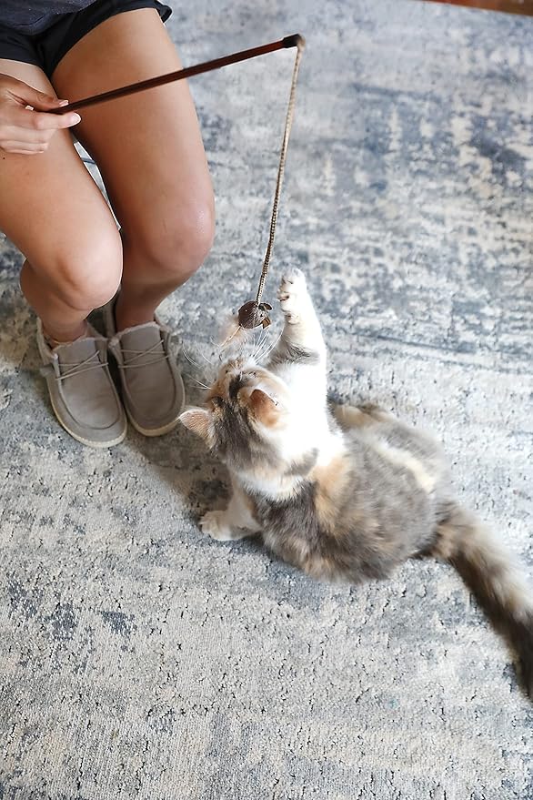OurPet's Play-N-Squeak Teathered & Feathered Play Wand Cat Toy, for All Breed Sizes
