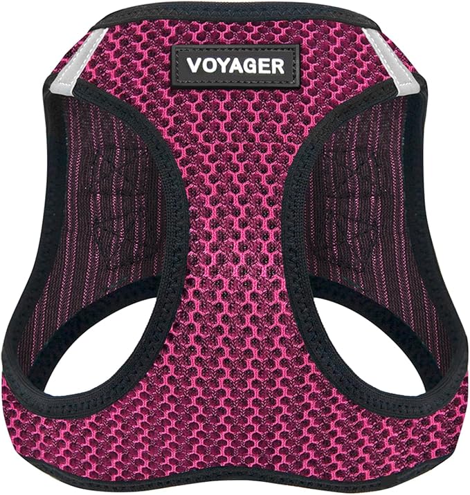 Best Pet Supplies - All Weather Mesh/Plush, Reflective, No Pull Harness for Small, Medium Dogs, Cats - Secure with Hook & Loop Fastener, Buckle, Double D-Rings - Fuchsia (2-Tone), S