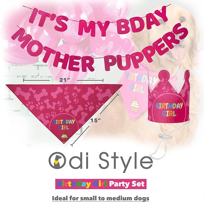 Dog Birthday Party Supplies - Bday Decoration Set - Birthday Girl Bandana for Medium, Large Dogs, Party Hat, Crown and Cute Banner with It's My Birthday Mother Puppers Sign