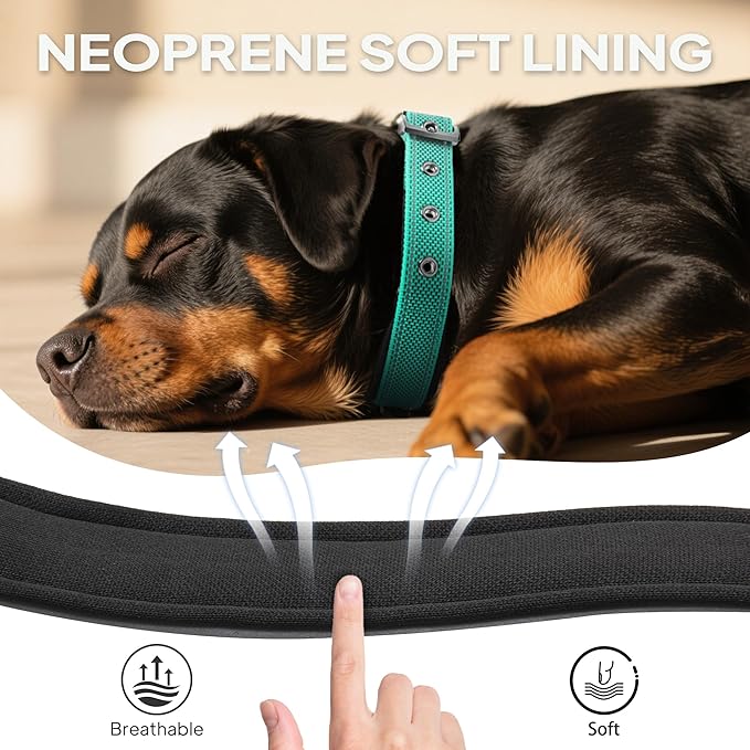 PetiFine Dog Collars for Medium Dogs, Neoprene Padded and Adjustable, Reflective Wide Heavy Duty Pet Collars with Durable Metal Belt Buckle for Walking, Teal, M