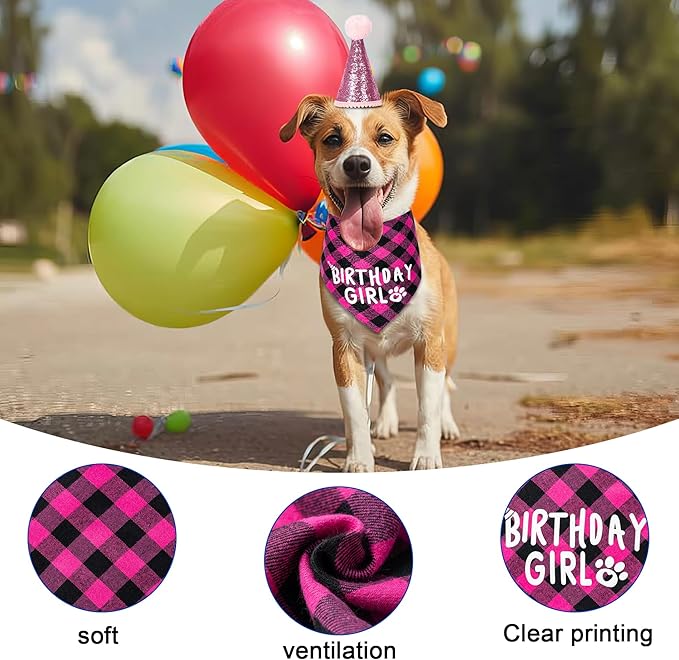 Dog Birthday Party Supplies Decorations with Dog Bandanas/Birthday Hat/Bow Tie Collar with 0-8 Numbers, for Medium Small Dogs Pets (Large, Pink)