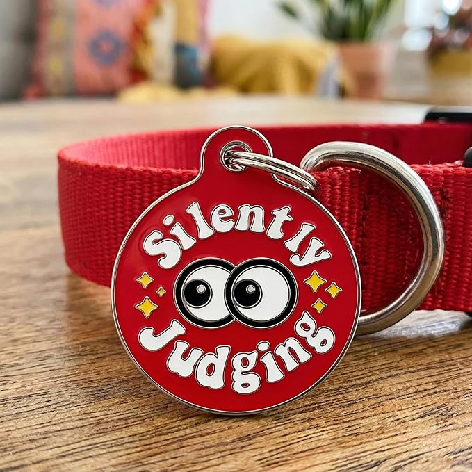 Bad Tags Personalized Dog and Cat ID Tags in 25+ Designs and 2 Sizes - 5 Lines of Custom Engraved Text - Funny Cute Personalized Pet Tags (Silently Judging - Red, Large (1.25 inch))
