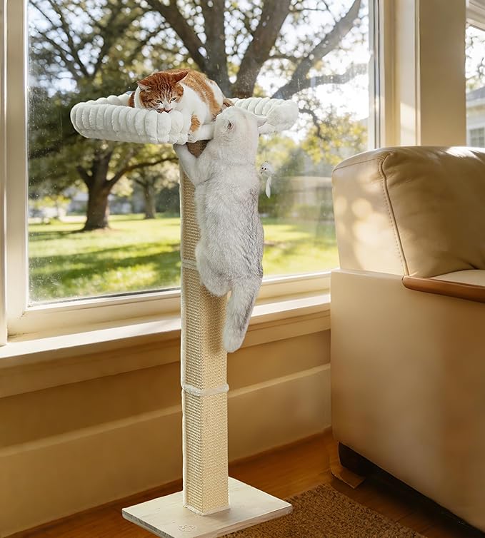 Cat Scratching Post with Large Window Perch - SnugCloud Ultra Soft Bed with Bolster,Adjustable 47" Tall Sisal Scratcher Tree for Maine Coon Big Cat Climbing, Naping and Overlooking