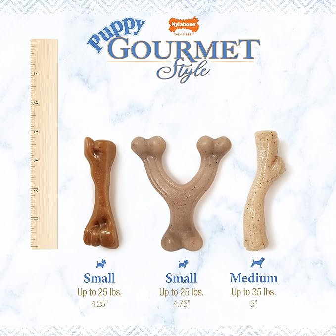 Nylabone Gourmet Style Femur Bone Strong Chew Toy for Puppies, Soothing Puppy Teething Toys, Puppy Enrichment, Bacon Flavor, Small Dogs - Up to 25 Ibs, 1 Count