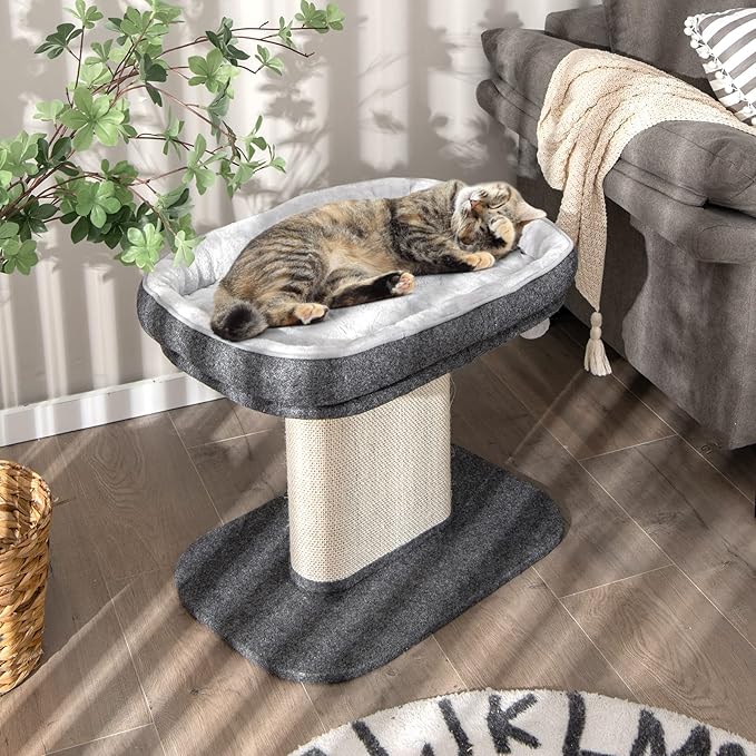 Tangkula Cat Tree for Indoor Cats, 2-Tier Cat Tower with Top Perch & Sisal Scratching Panel & Jingling Fur Ball Toy, Cozy Cat Bed with Scratching Post, Modern Small Kitten Activity Center (Grey)