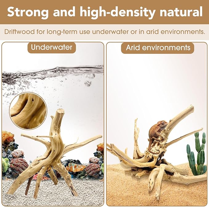 Jorewood Natural Large Spiderwood Driftwood for Aquarium Decor Rptile Fish Tank Decoration Assort Branch 7-11'' 3 Pcs