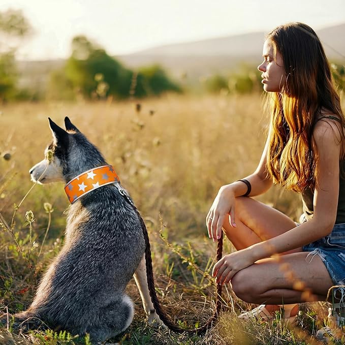Paterr 2 Pcs Reflective Dog Collar High Visibility Adjustable Pet Collars with Quick Release Fastener Comfortable Dog Walking Accessories for Small Medium Large Pet, Orange, Fluorescent Green (Star)