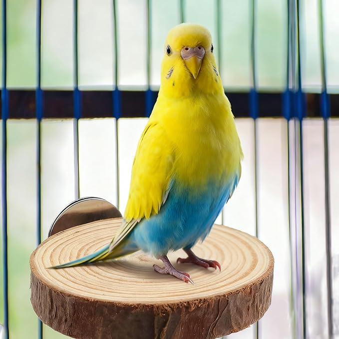 Wood Bird Perch Stand for Cage, Natural Round Wooden Parrot Platform Bird Perch Bird Toy for Canary Parakeet Cockatiel Parrot Budgie Sparrow (2 Pcs, 3.3inch & 2.7inch)