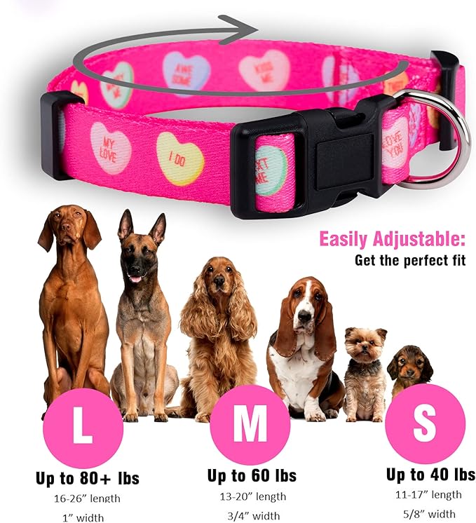 Native Pup Valentine’s Dog Collar- Valentines Day Pet Collars- Valentine Girly Hearts- Pink Red Heart- Cute Boy Girl Puppy Gift- Adjustable for Small, Medium, Large Breeds (Candy Hearts, Large)