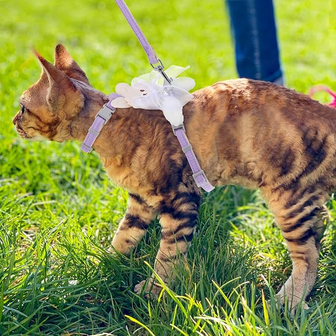 TIESOME Cat Harness and Leash Set, Adjustable Gradient Kitten Harness Escape Proof Harness with Leash for Kitty Outdoor Walking (Ribbon Bear Purple)
