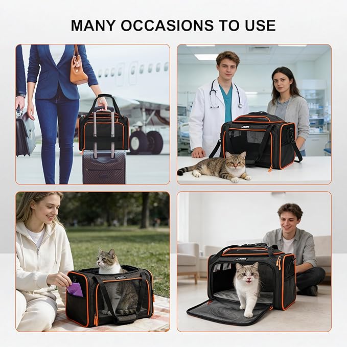 TSA Approved Expandable Cat Carrier with Top and Side, 16x11x11 Soft-Sided Pet Carrier for Small Cats and Dogs, Foldable Travel Carrier with Anti-Scratch Mesh and Safety Belt, Black