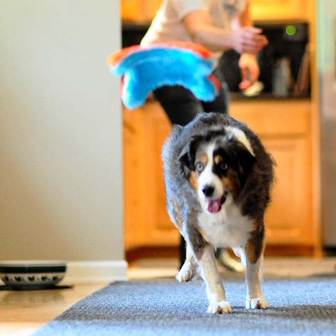 Chuckit! Indoor Fetch Squirrel Toy for Dogs - Interactive Dog Toys for Boredom, Orange and Blue