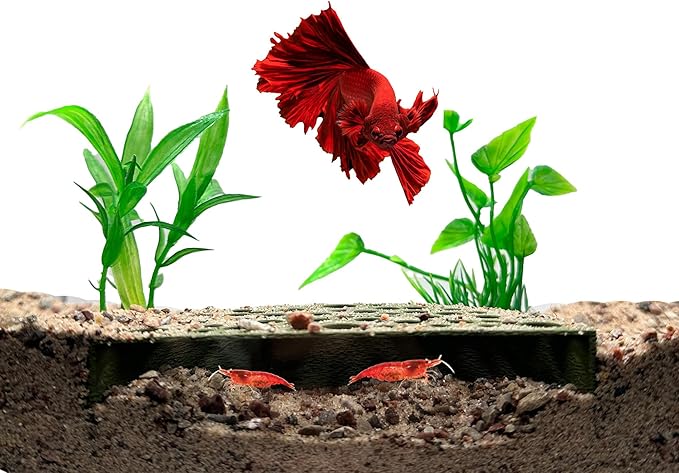 Shrimp Breeding Protector | Shrimp Breeding Cave Aquarium Tunnel | CTWPets (Forest Green)
