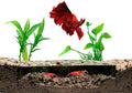 Shrimp Breeding Protector | Shrimp Breeding Cave Aquarium Tunnel | CTWPets (Forest Green)
