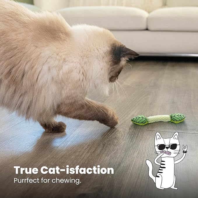 Catstages Fresh Breath Mint Stick Dental Cat Chew Toy with Catmint,Teeth Cleaning & Fresh Breath,Solo or Interactive Play,Green,(Pack of 2)