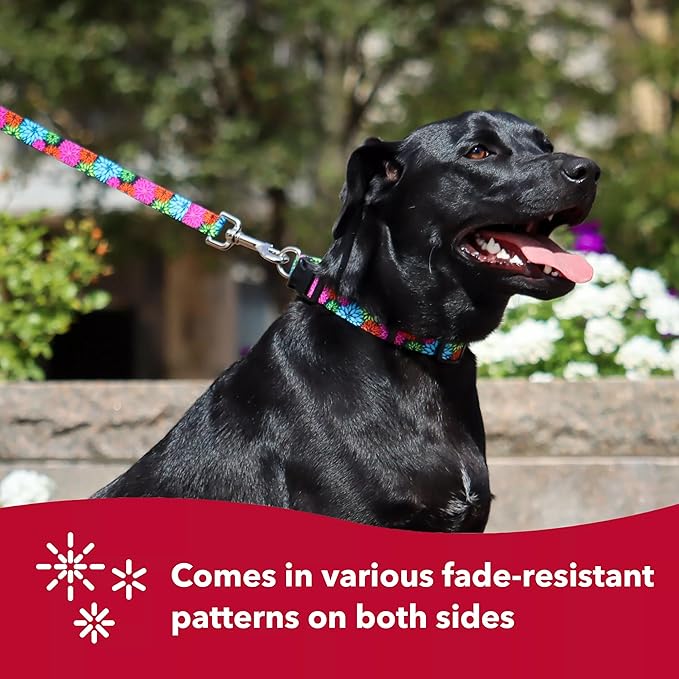 Coastal Pet Styles Adjustable Dog Collar - Stylish Patterned Fabrics - Snap-Lock Buckle - Adjustable Dog Collar - for Small, Medium or Large Dogs - Pink Dots - 3/8" x 08"-12"