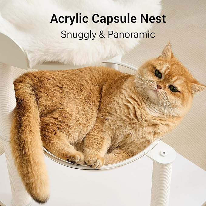Modern Cat Tree Tower for Indoor Cats up to 12lbs, 34" H Furniture-Style Metal Cat Tower with Scratching Posts, Wood Cat Bed with Soft Plush Cushion Washable, Acrylic Capsule, Soft White