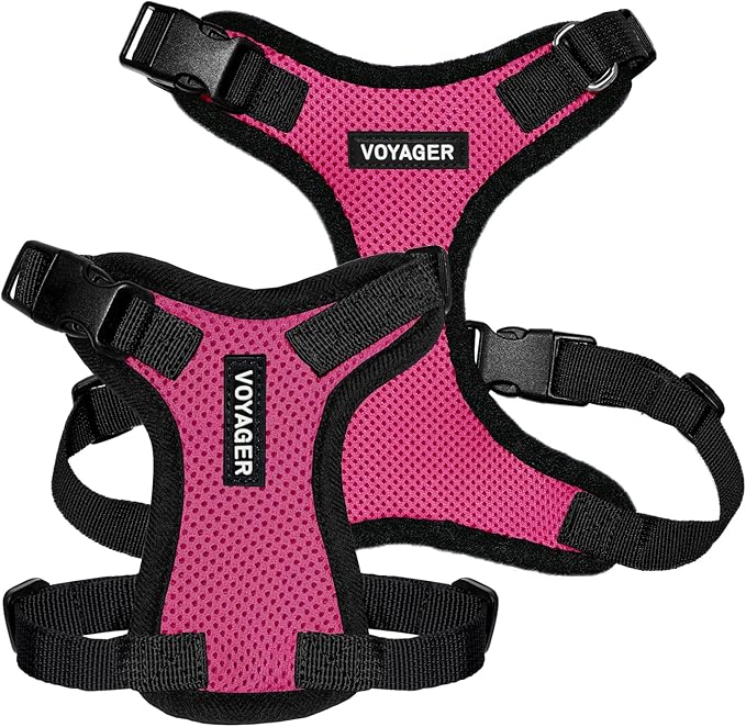 Voyager Step-in Pet Harness - All Weather Mesh, Adjustable Step in Harness for Cats and Dogs by Best Pet Supplies - Fuchsia/Black Trim, XS