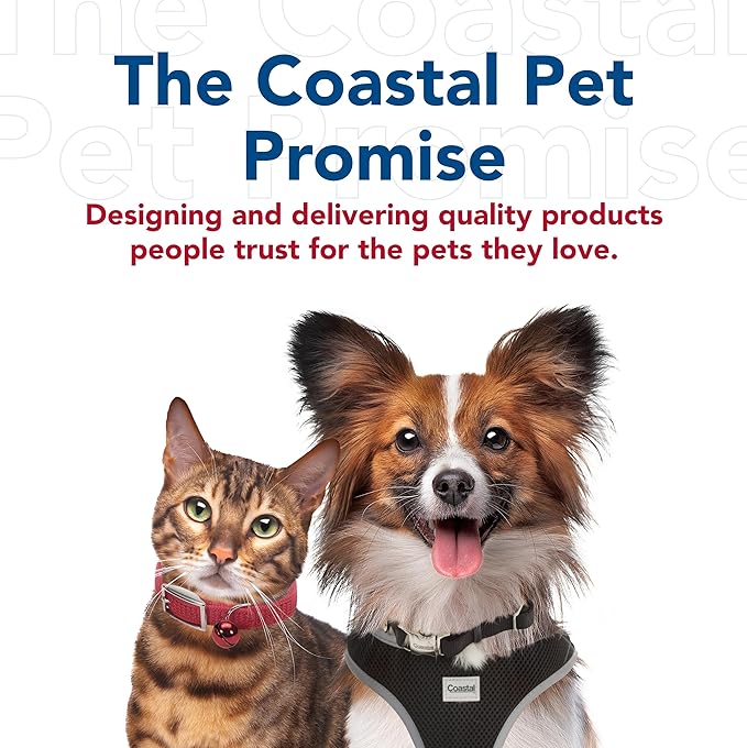 Coastal Pet Bergan Comfort Carrier - Breathable Travel Carrier for Dogs & Cats - Heather Grey, 19" x 10" x 13"