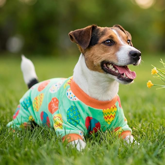 Fitwarm Easter Egg Dog Pajamas, Holiday Dog Clothes for Small Dogs Girl Boy, Pet Easter Outfit, Puppy Cat Onesie, Lightweight Velvet, Light Green, Orange, XL