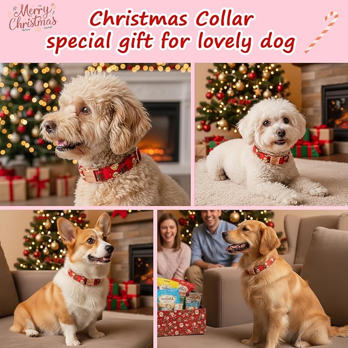 Christmas Dog Collar，Soft Cotton Dog Collars for Medium Dogs, Dog Christmas Collar with Santa for Small Medium Large Dogs, Adjustable Red Collars Perfect for Girl or Boy Dog Collars-M