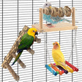 4 Pcs Bird Perch with Swing, Parrot Perches Platform with Chew Blocks, Natural Climbing Ladder Bridge Colorful Hammock for Budgies, Cockatiels, Lovebirds, Finches