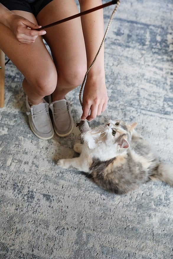 OurPet's Play-N-Squeak Teathered & Feathered Play Wand Cat Toy, for All Breed Sizes