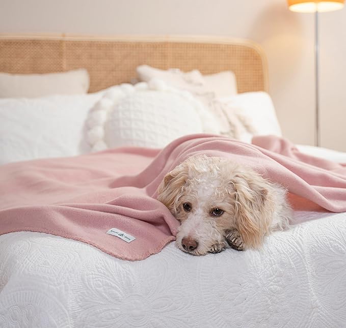 Fleece Throw Blankets Bulk Fleece Blankets Solid Wholesale Lightweight Warm Soft for Pet Bed Sofa Couch Office Wedding Gifts Travel Seasons Beige and Pink 50x60 Inches Pack of 6