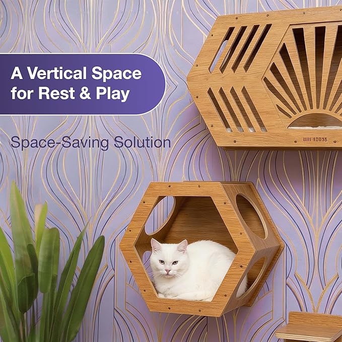 Modern Hexagonal Cat Wall Shelf System, 6-Piece Wood Wall Mounted Cat Furniture with 2 Small Hexagons, 1 Large Hexagon and 3 Climbing Steps, Geometric Cat Shelves