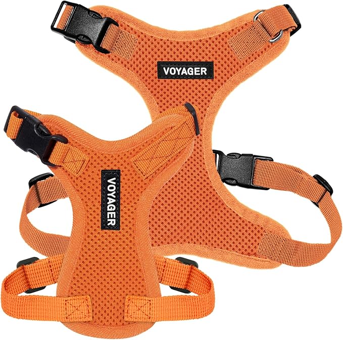 Voyager Step-in Pet Harness - All Weather Mesh, Adjustable Step in Harness for Cats and Dogs by Best Pet Supplies - Orange, M