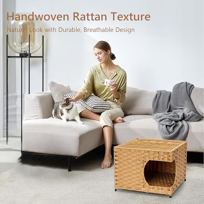 Cat House for Indoor Cats - Wicker Cat Bed with Double-Sided Soft Cushion, Decorative Handwoven Pet Bed Furniture