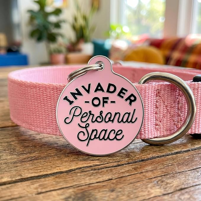 Bad Tags Personalized Dog and Cat ID Tags in 25+ Designs and 2 Sizes - 5 Lines of Custom Engraved Text - Funny Cute Personalized Pet Tags (Invader of Personal Space - Pink, Large (1.25 inch))