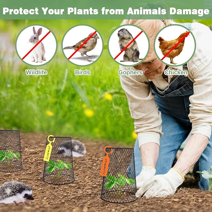 20 Pcs 6.8"×7.4" (Multiple Sizes/Quantities Available) Seedling Plant Protectors from Animals, Chicken Wire Plant Cage Garden Cloche to Protect Plants Vegetables from Rabbits Squirrels Chicken ﻿