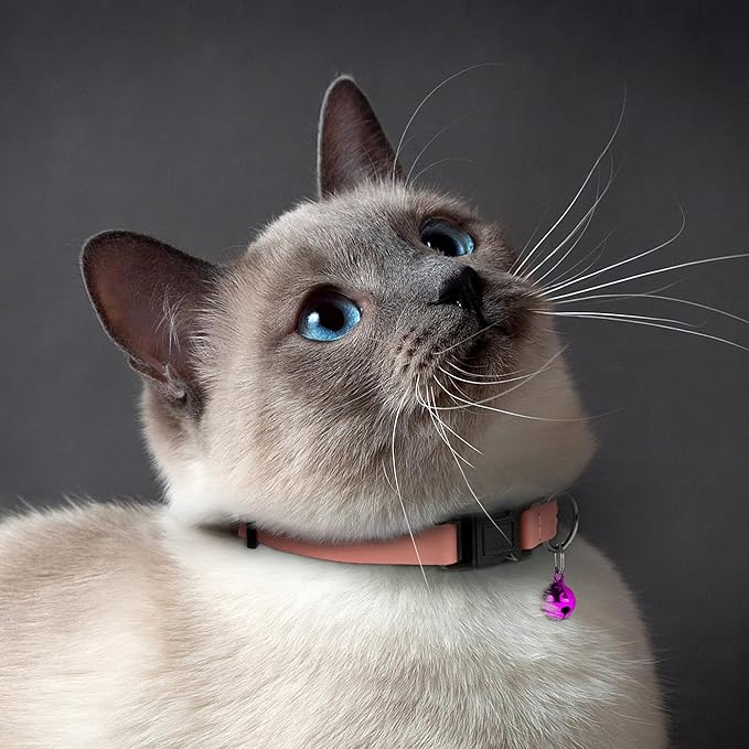 Breakaway Cat Collar with Bell - Leather Adjustable Kitten Collars with Safety Quick Release Buckle - Soft Small Pet Collars for Girl & Boy Cats (Rose)