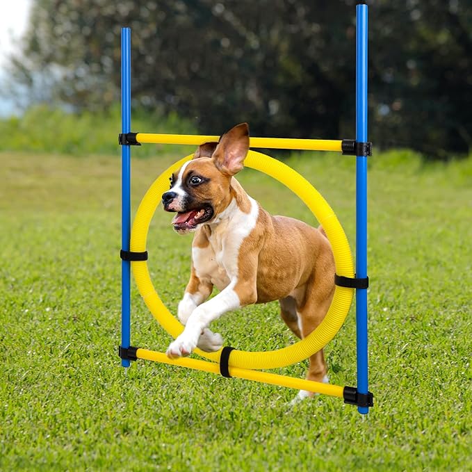 Pet Prime Dog Agility Training Equipment for Dog Obstacle Course Backyard Height Adjustable Jumper Ring Portable Dogs Park Exercise Tool