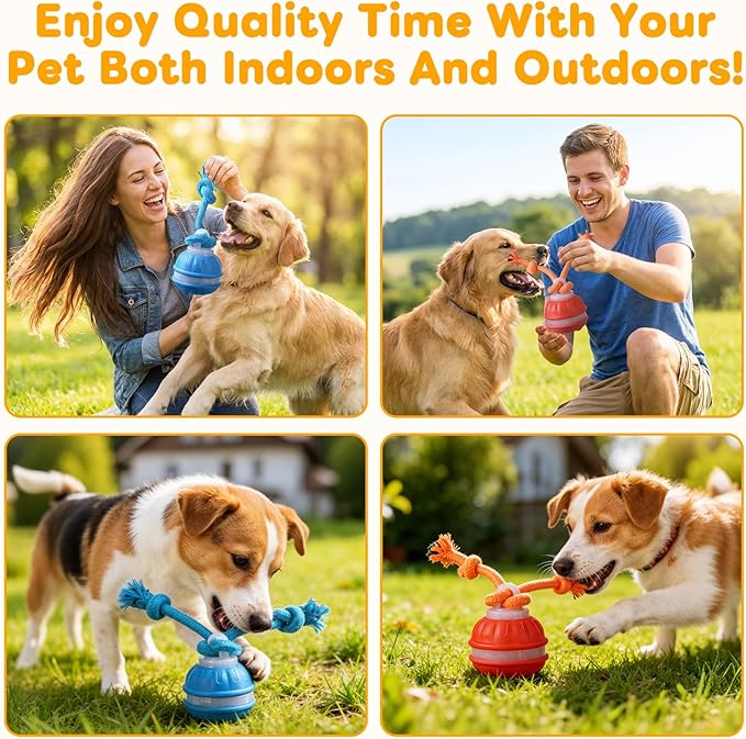 2PCS Zealburst Dog Toy, Interactive Dog Toys, 2026 Upgraded Motion Activated Squeaky Cat Balls, 360° Smart Automatic Rolling Moving for Bored Pet Cats Dogs (Orange+Blue)