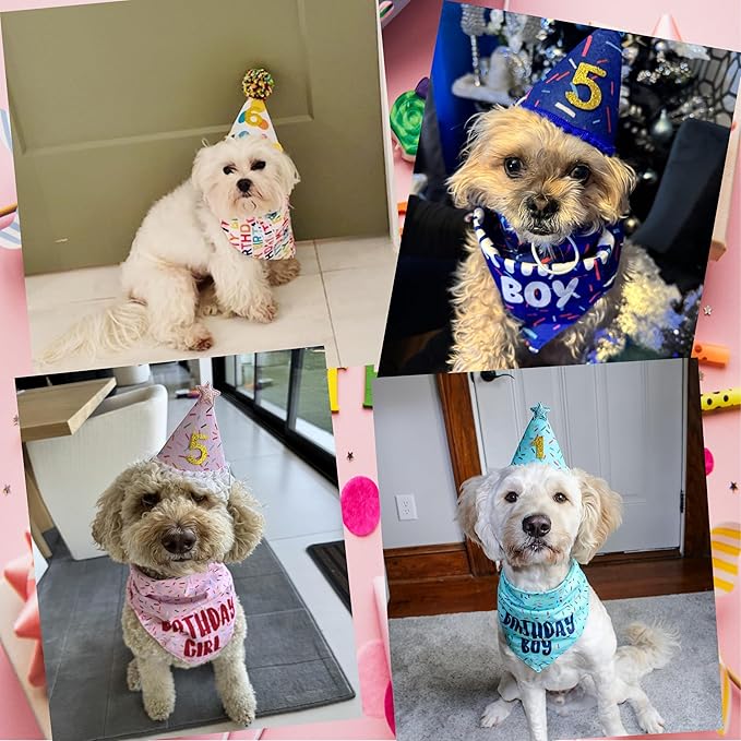 Dog Birthday Bandana Set, Rose Pink Birthday Girl Decorations, HBD Party Supplies with Hat Bandana Numbers for Pets (Pink)