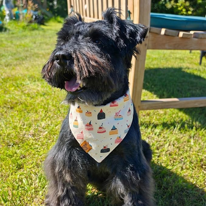 Birthday Dog Bandanas Medium Large, Colorful Cakes Stripes, Reversible Soft Breathable Adjustable Scarf for Small Medium Large Dogs Boy Girl Party Outfit Accessory FW5
