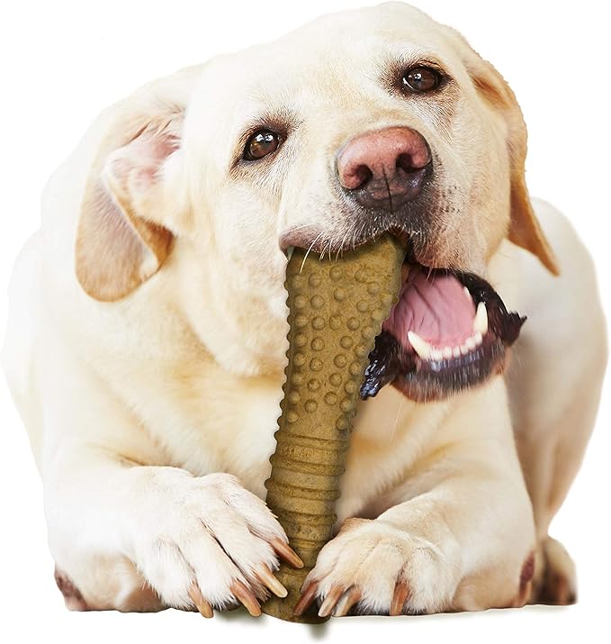 Nylabone Healthy Edibles Natural Dog Chews, Long Lasting Bones for Dogs, Peanut Butter Flavor Dog Treats, X-Large (1 Count)